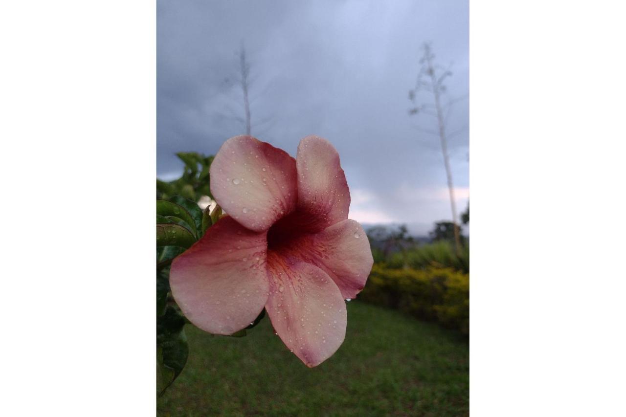 Pousada Chale Terra Viva カランカス エクステリア 写真